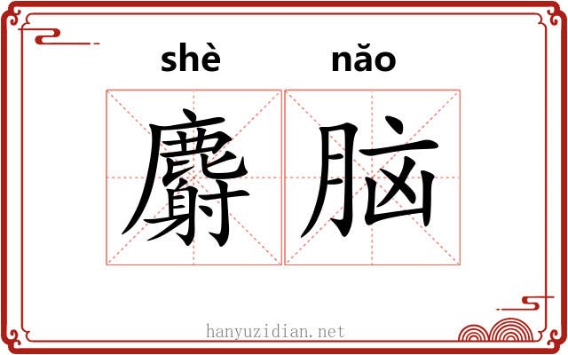 麝脑