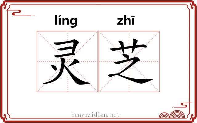 灵芝