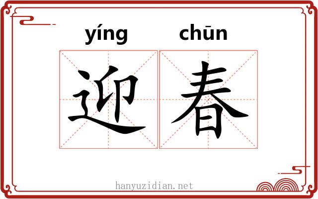 迎春 迎春