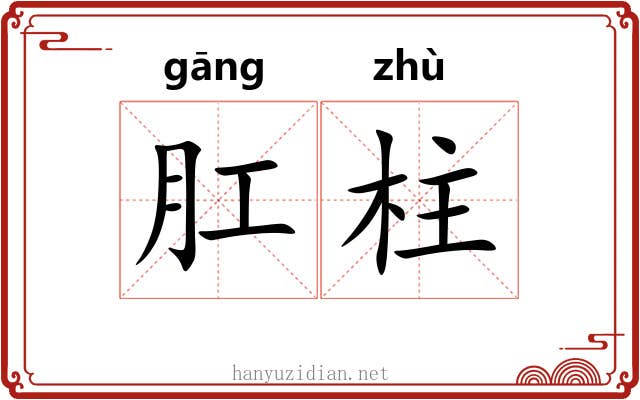 肛柱