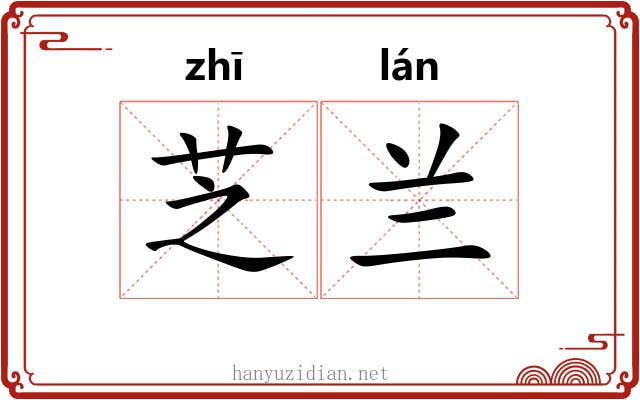 芝兰 芝兰