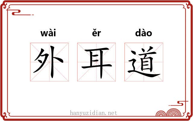 外耳道