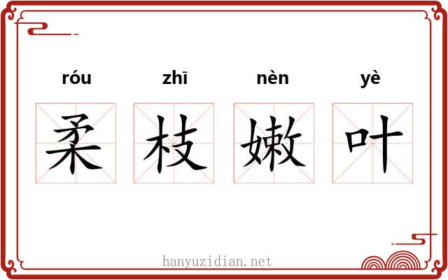 柔枝嫩叶 柔枝嫩叶
