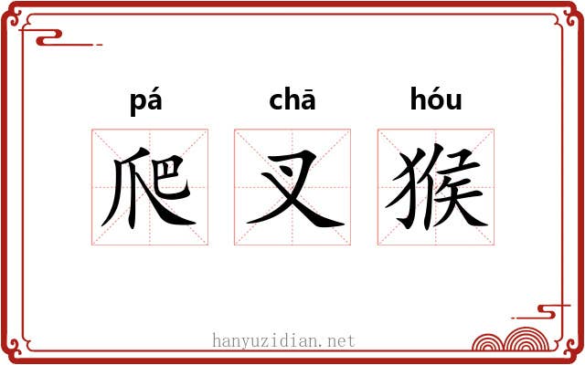 爬叉猴 爬叉猴