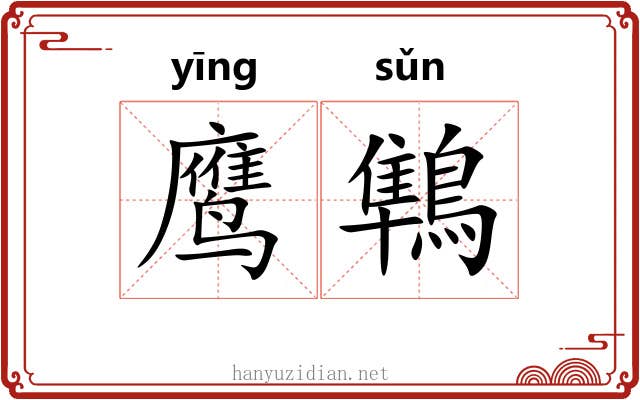 鹰鶽