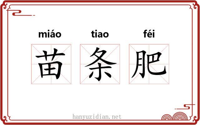 苗条肥