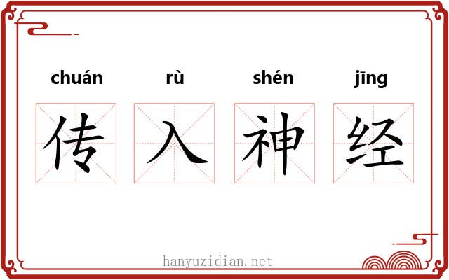 传入神经 传入神经