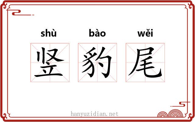 竖豹尾 竖豹尾