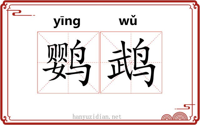 鹦鹉 鹦鹉