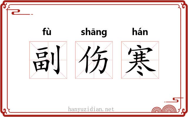 副伤寒 副伤寒