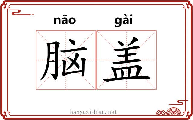 脑盖 脑盖