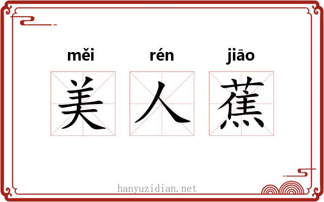 美人蕉 美人蕉