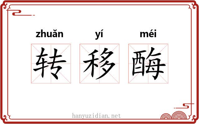 转移酶 转移酶