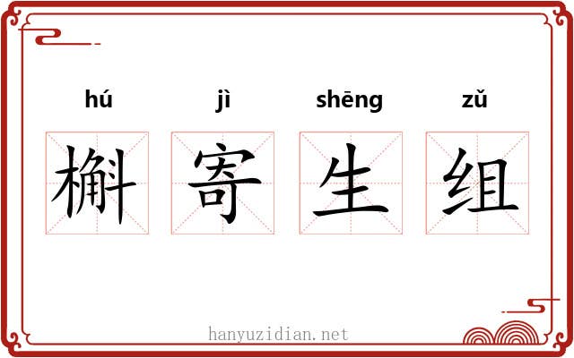 槲寄生组