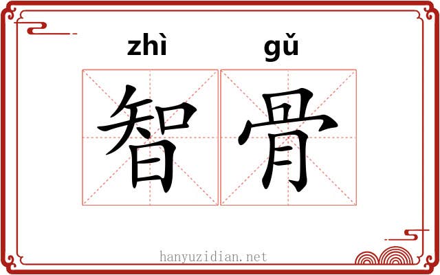 智骨 智骨