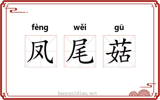 凤尾菇 凤尾菇
