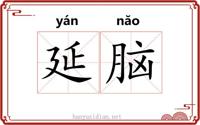 延脑 延脑