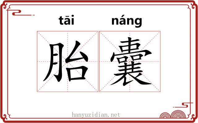 胎囊