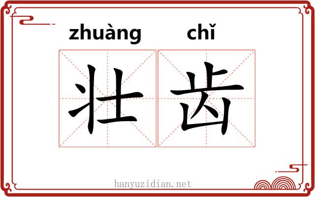 壮齿
