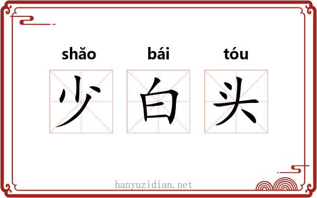 少白头 少白头