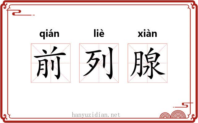 前列腺