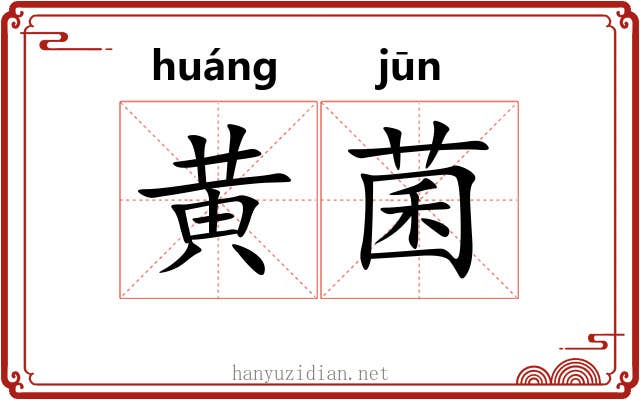 黄菌