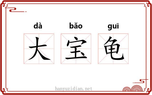 大宝龟 大宝龟