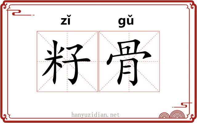 籽骨