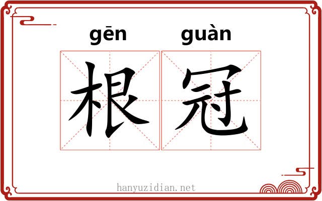 根冠 根冠