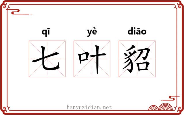 七叶貂