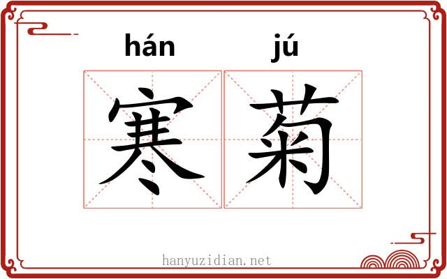 寒菊