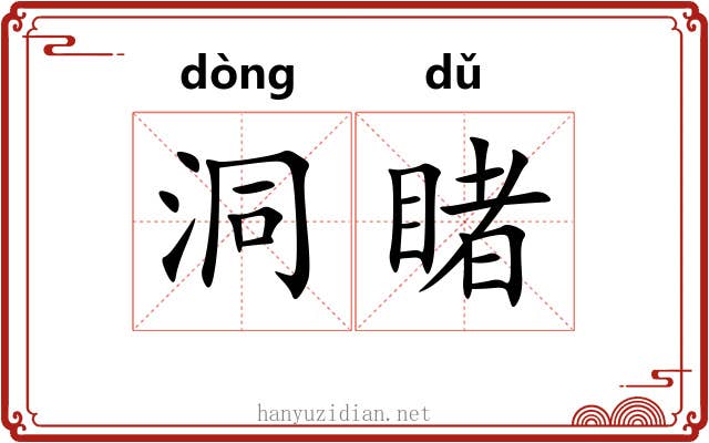 洞睹