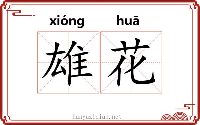 雄花 雄花
