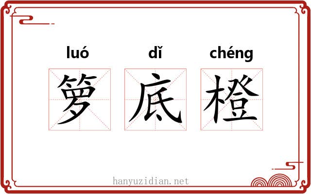箩底橙