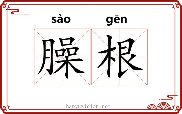 臊根