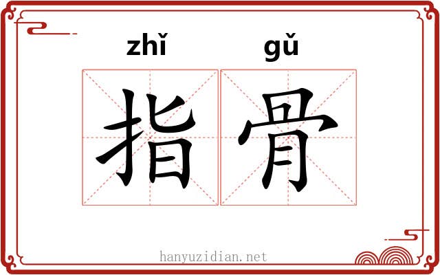 指骨 指骨