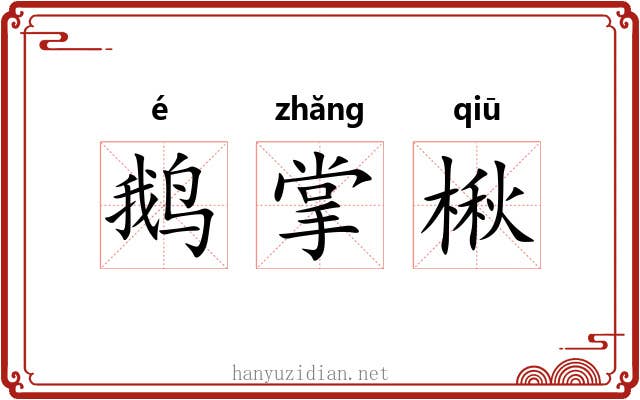 鹅掌楸 鹅掌楸
