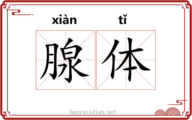 腺体