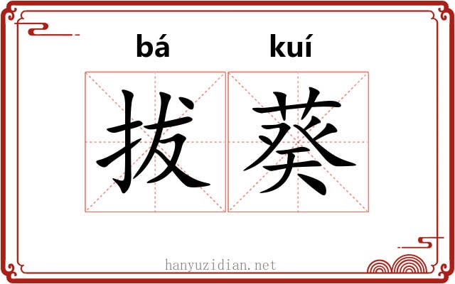 拔葵 拔葵