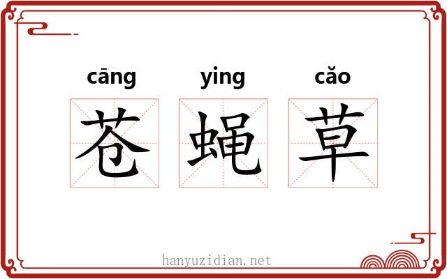 苍蝇草 苍蝇草