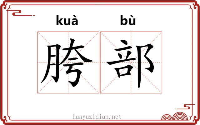 胯部