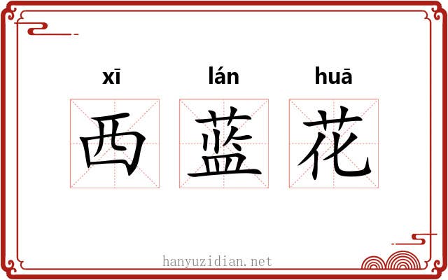 西蓝花 西蓝花