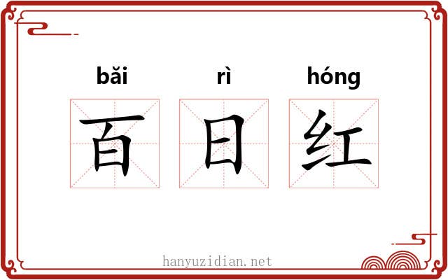 百日红 百日红