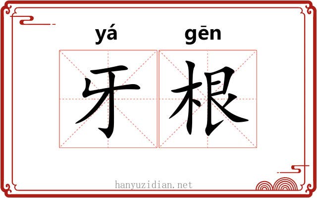牙根