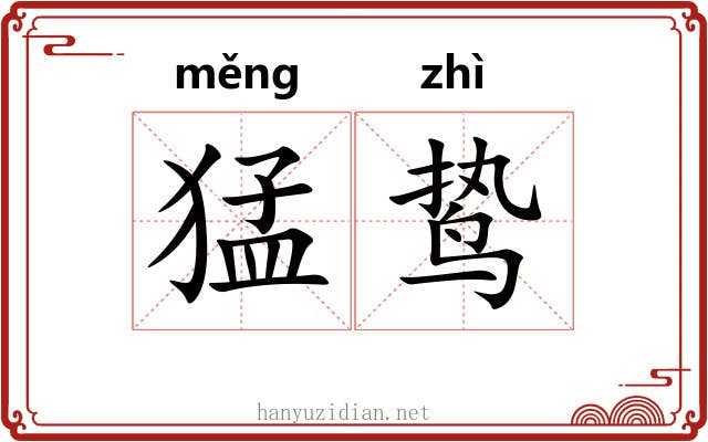 猛鸷 猛鸷