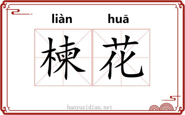楝花 楝花