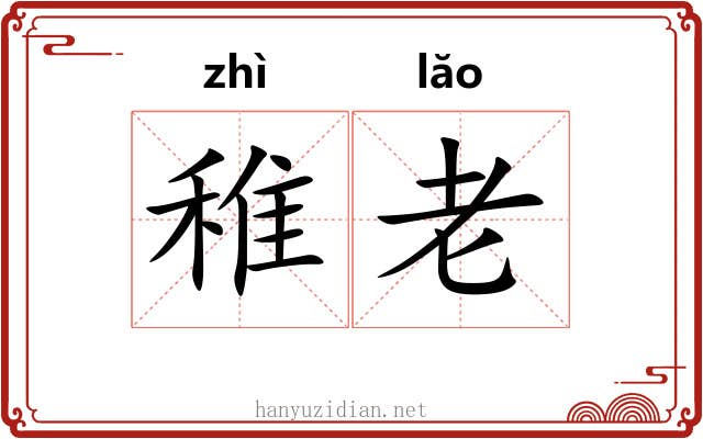 稚老