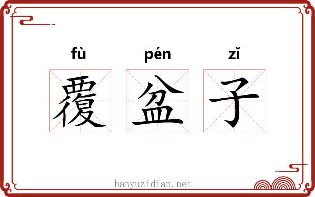 覆盆子
