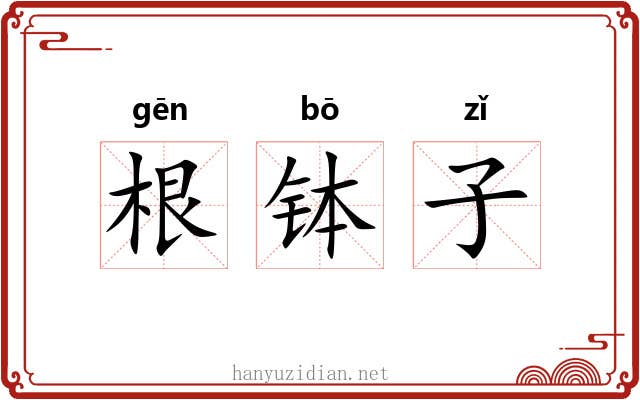 根钵子 根钵子