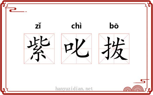 紫叱拨 紫叱拨